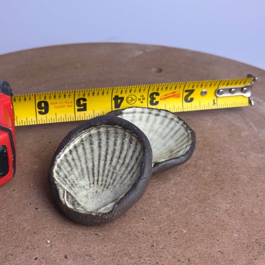 Random Shell Trinket Dish - Ash White
