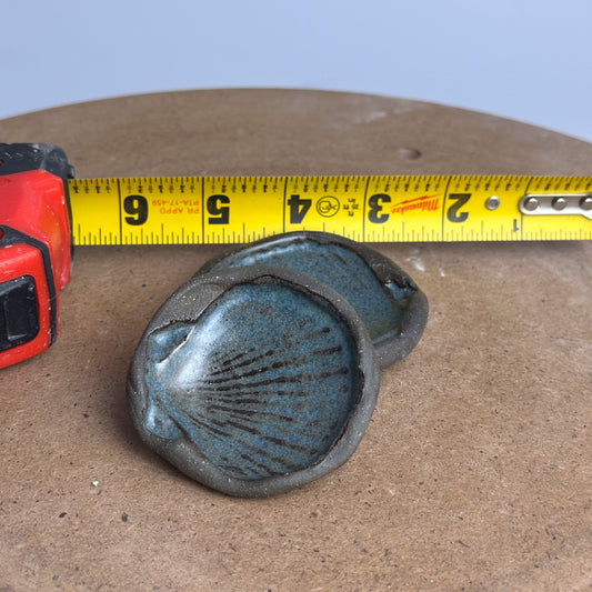 Random Shell Trinket Dish - Blue Spruce